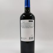Vina Santa Ema Merlot