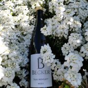 Becker Traubensaft Weiss Alcoholvrij
